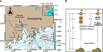 The contrast in suspended particle dynamics at surface and near bottom on the river-dominated northern South China Sea shelf in summer: implication on physics and biogeochemistry coupling